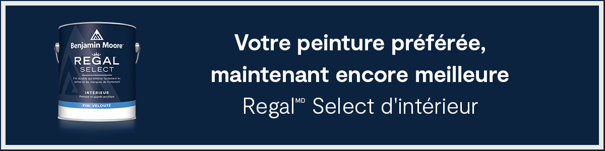 Bannière Nous Joindre